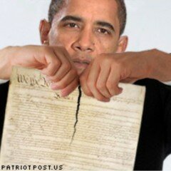 CONSTITUTIONTEAROBAMA
