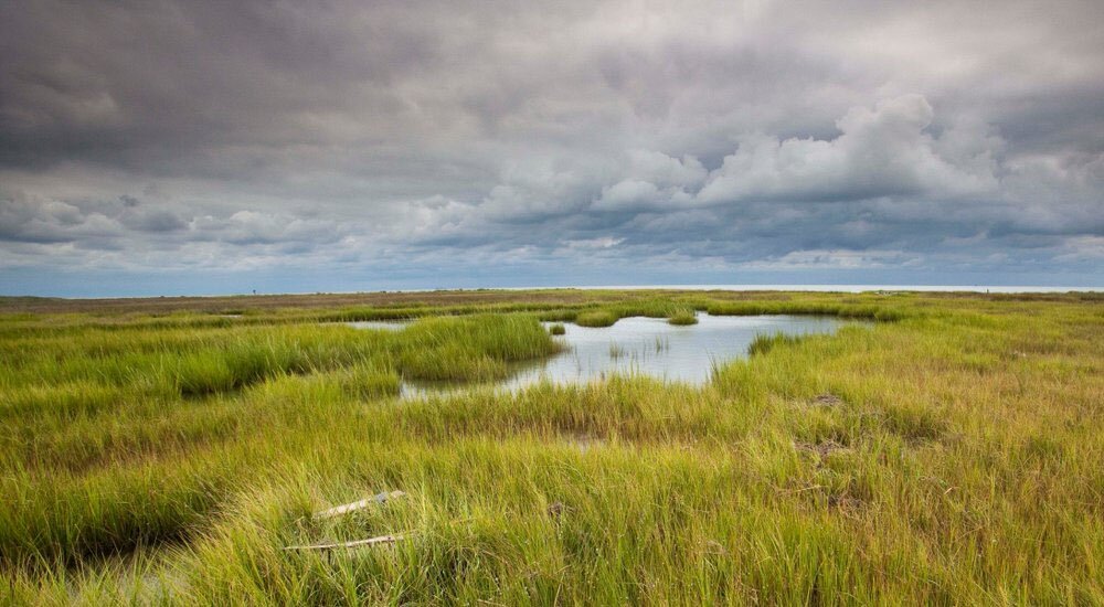 Chesapeake bay 1000px